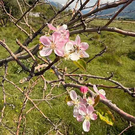 Vista Pezul Villa Vlore